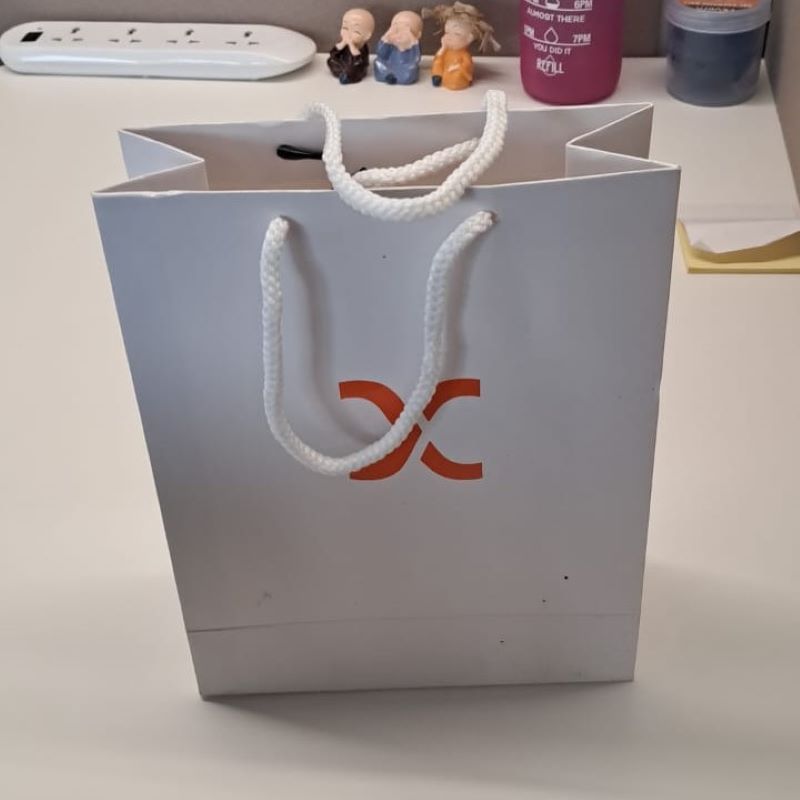Air India Paper Bag
